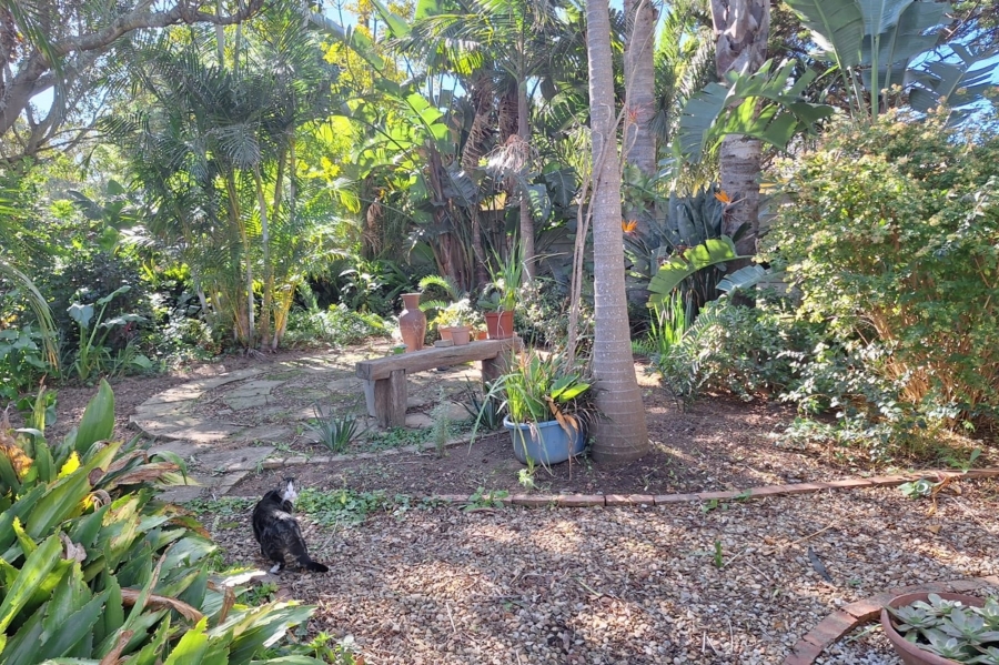 4 Bedroom Property for Sale in Boskloof Eastern Cape